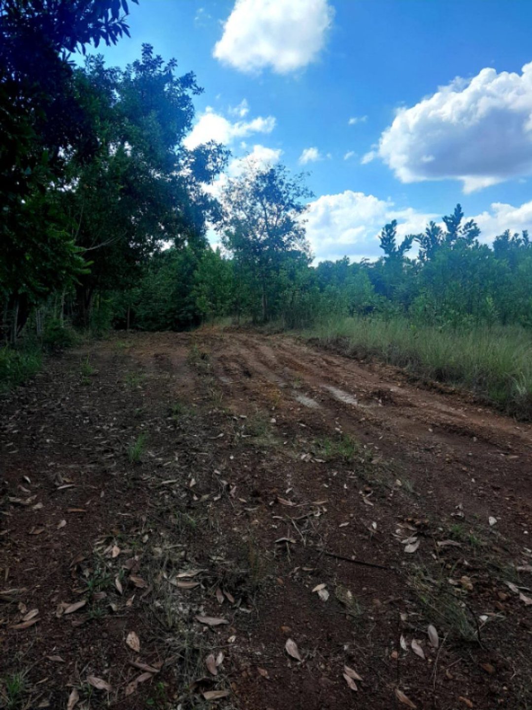 Terreno En Higuero, Santo Domingo Norte