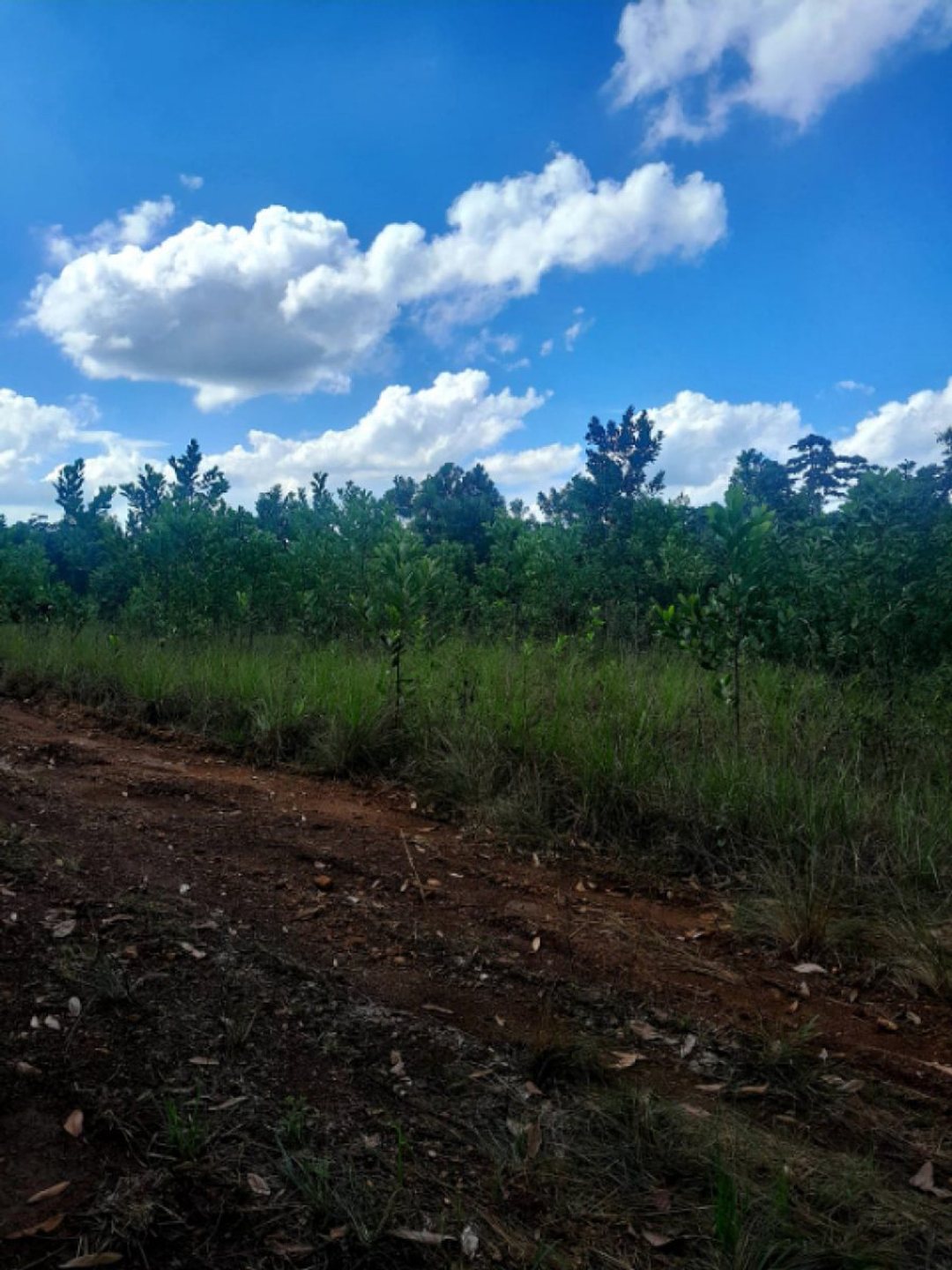 Terreno En Higuero, Santo Domingo Norte