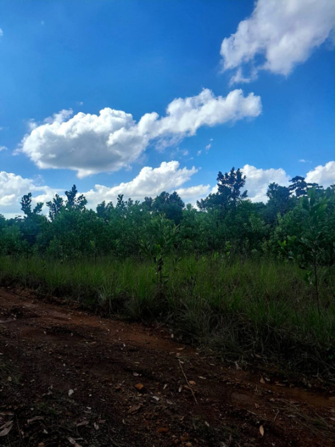 Terreno En Higuero, Santo Domingo Norte