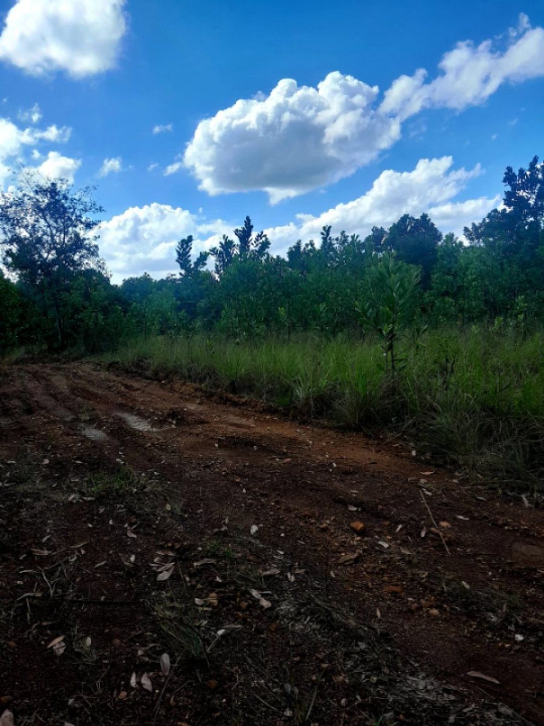Terreno En Higuero, Santo Domingo Norte