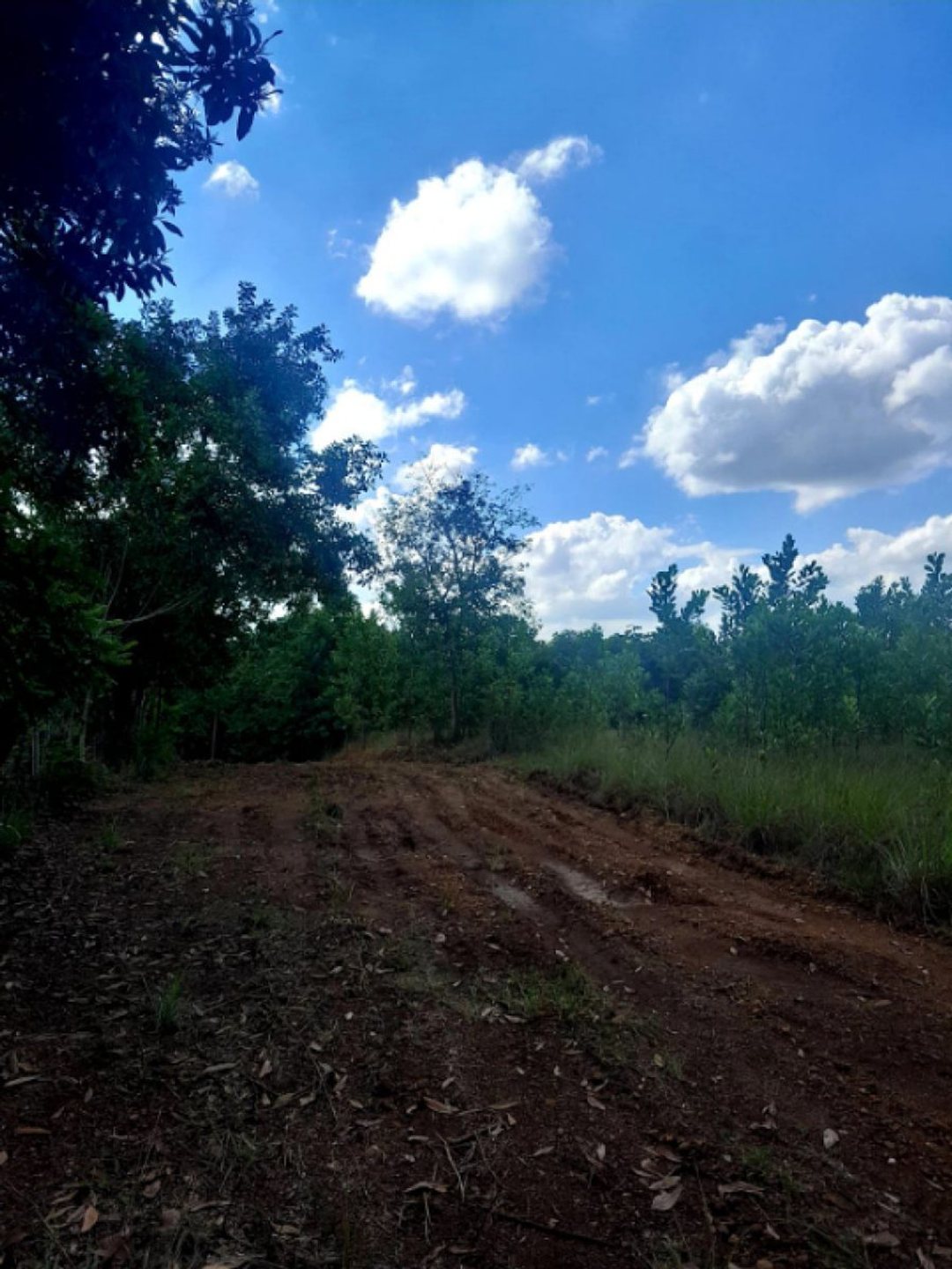 Terreno En Higuero, Santo Domingo Norte