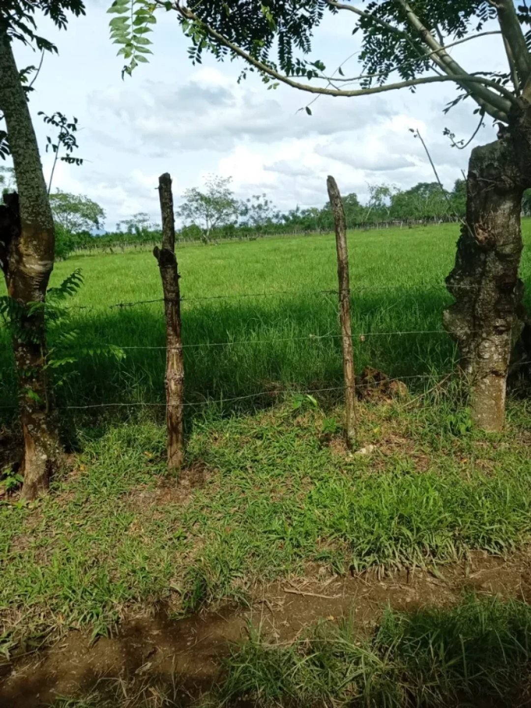 Terreno estratégico en zona de alto crecimiento industrial
