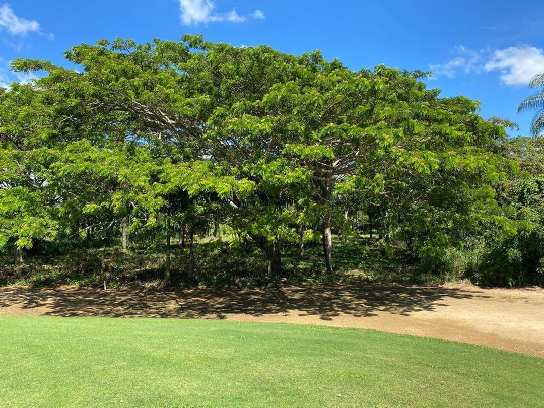 Solar en Guavaberry frente al Campo de Golf
