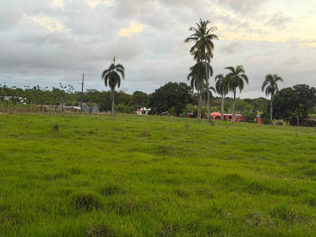 SOLAR DE VENTA EN SAMANA-PALMARITO