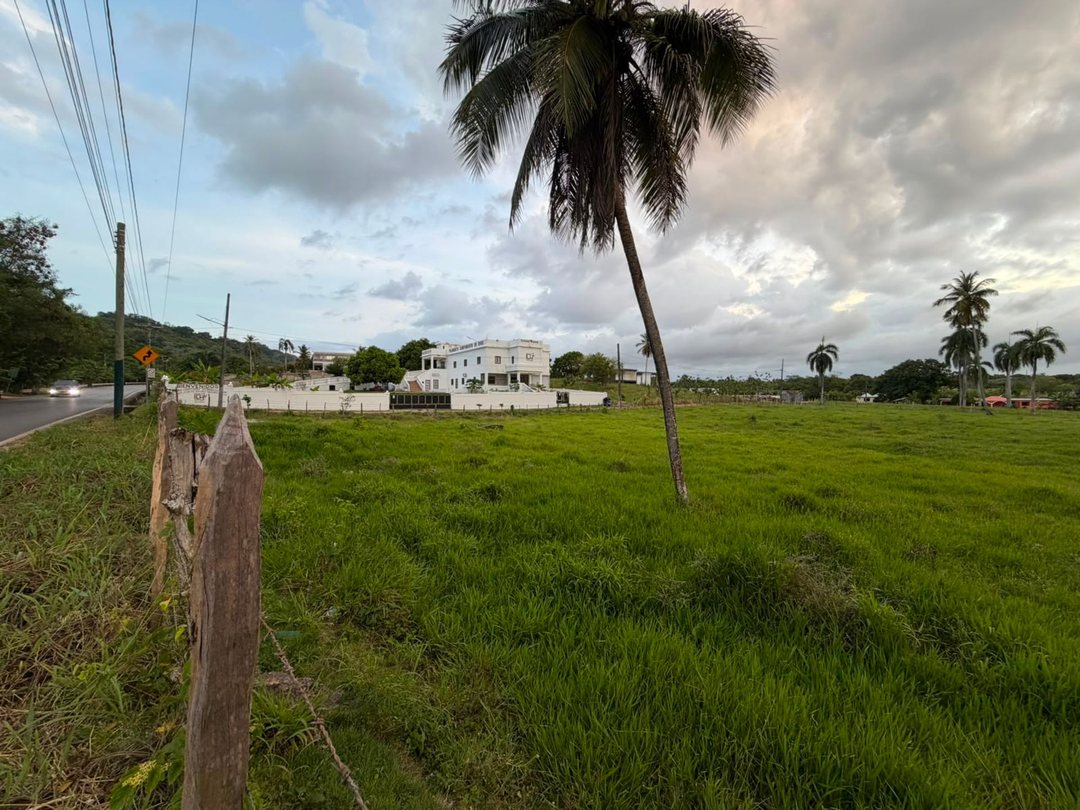 SOLAR DE VENTA EN SAMANA-PALMARITO
