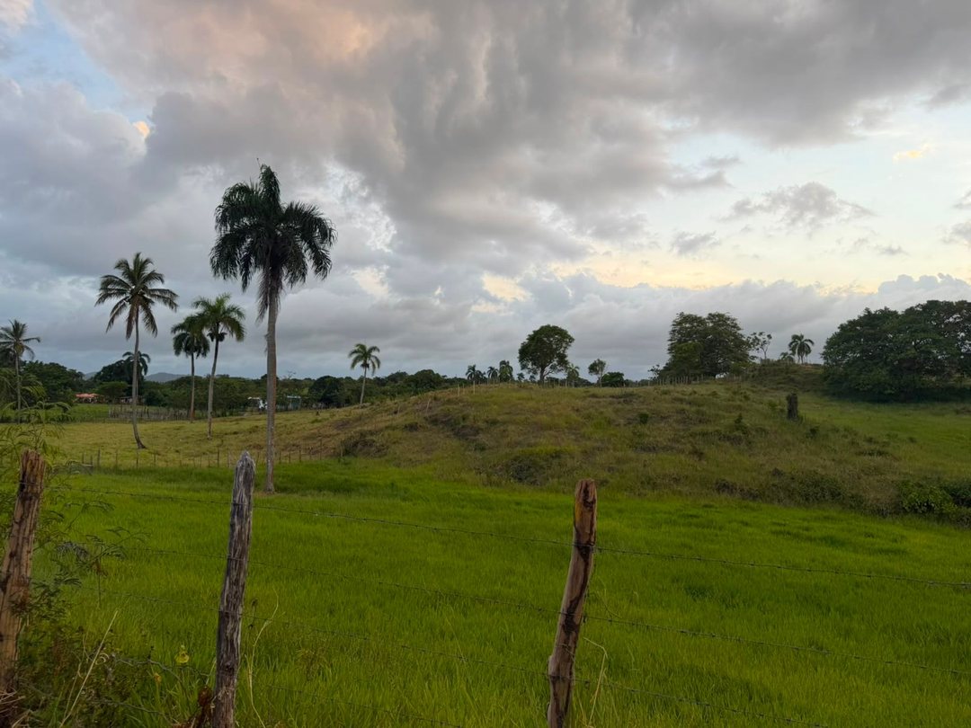 SOLAR DE VENTA EN SAMANA-PALMARITO