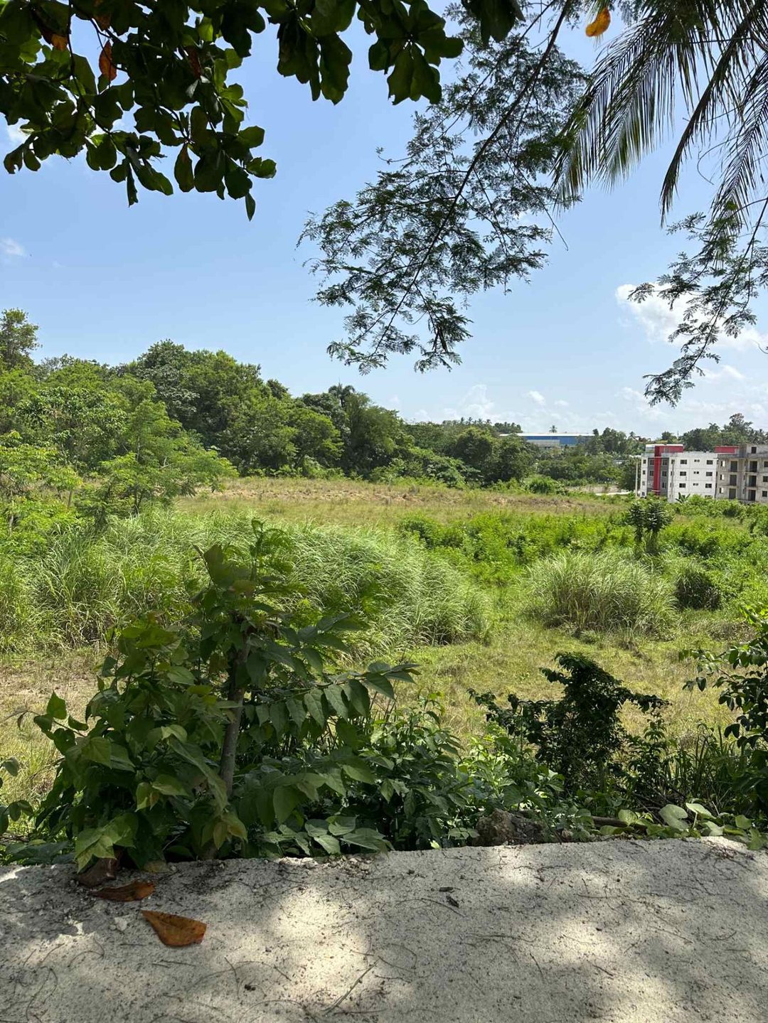 Terreno en Cerros de Palmarejo Km. 17 Aut. Duarte