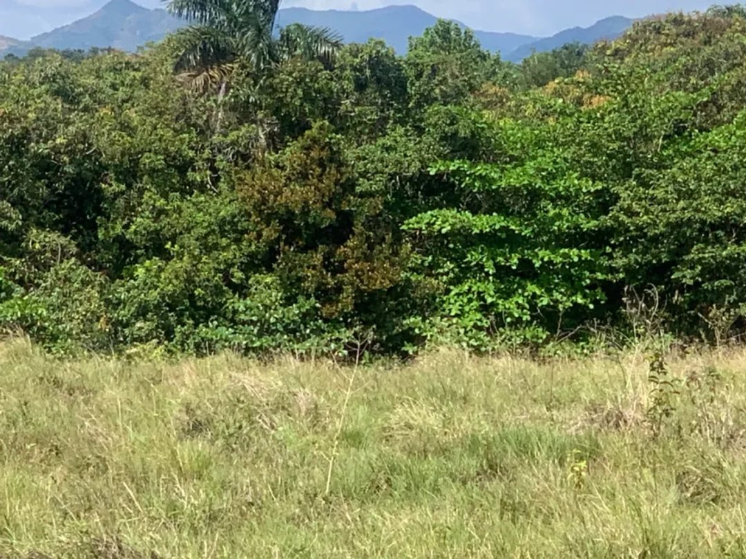 Terreno en San Gregorio de Nigua, SAN CRISTÓBAL
