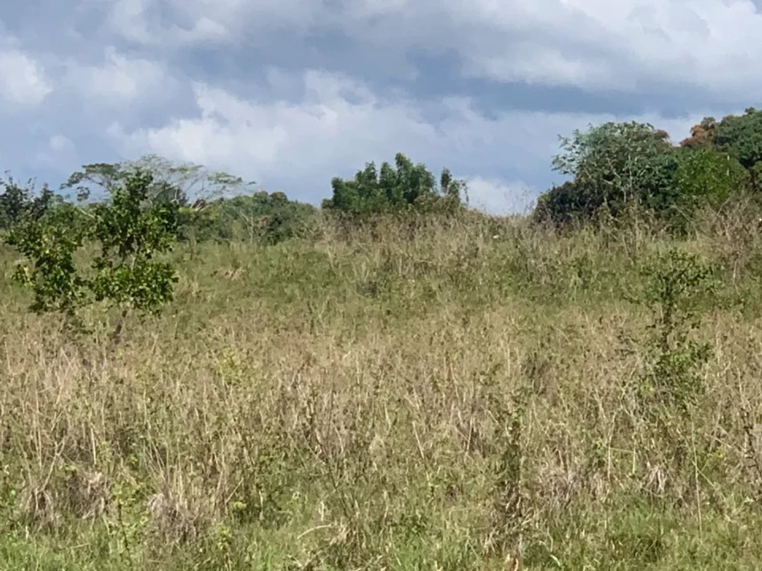 Terreno en San Gregorio de Nigua, SAN CRISTÓBAL