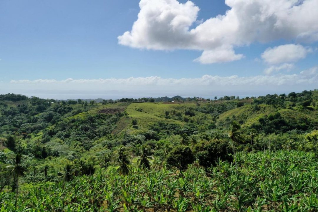 Terreno en Samaná, Juana Vicenta
