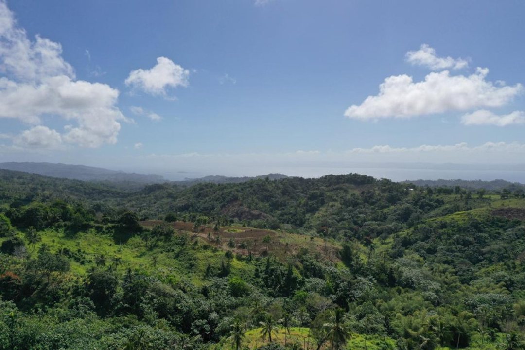 Terreno en Samaná, Juana Vicenta
