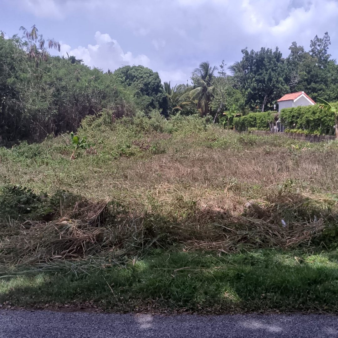 VENTA DE TERRENO EN METRO COUNTRY CLUB