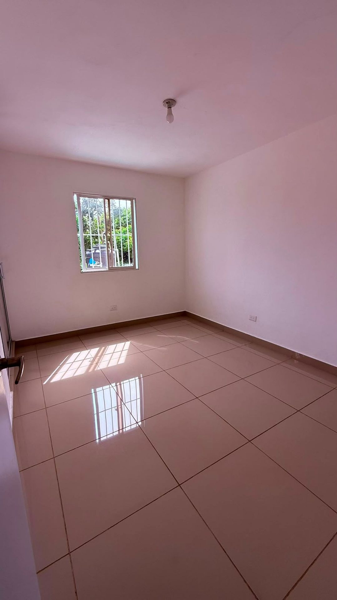 Edificio/ Apartamentos y oficina en Alma Rosa