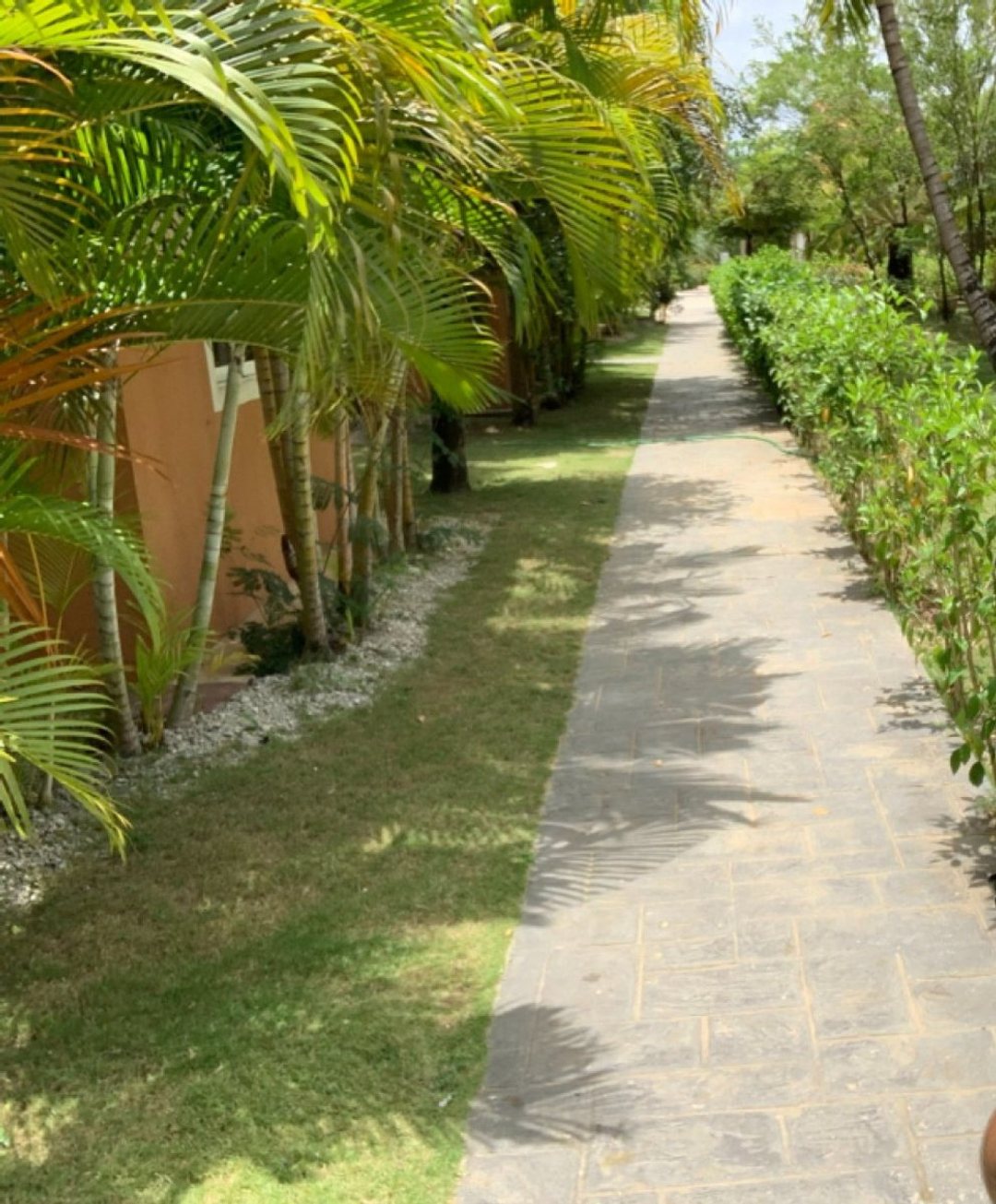 Caribbean Life Apto I-301
