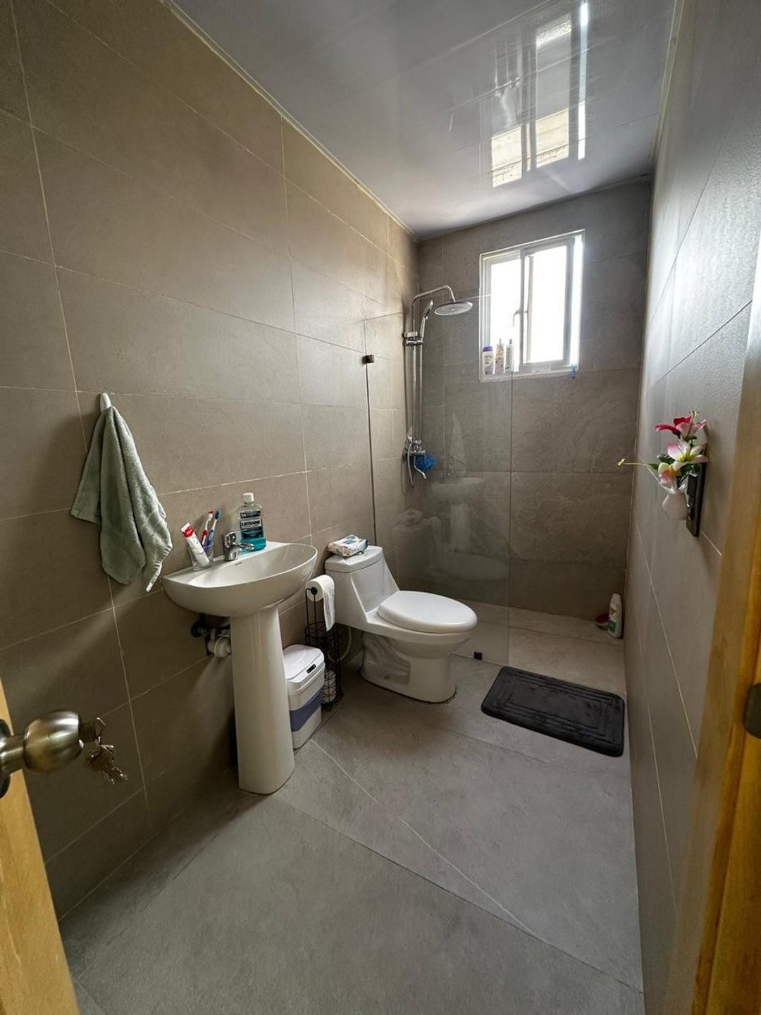 Proyecto o Propiedad: Penthouse en San Cristóbal