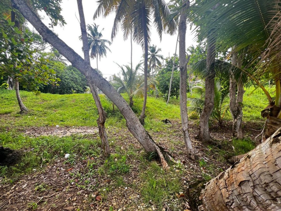 Terreno en Samaná, Sector Sánchez KM 0