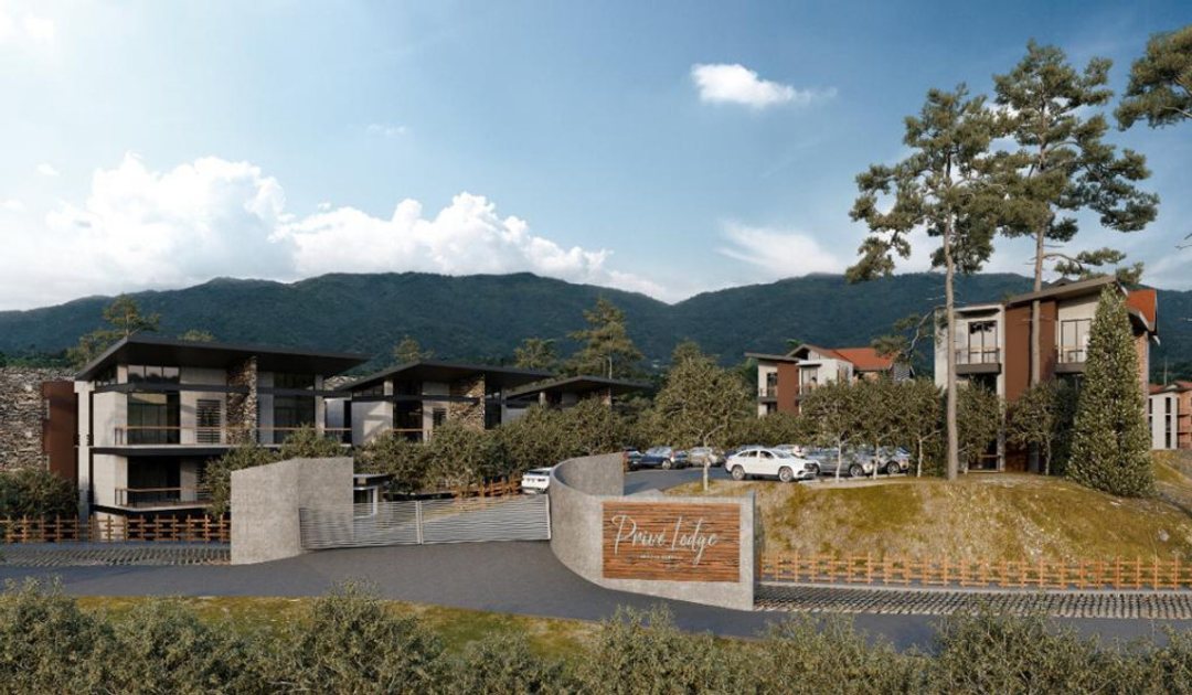 Proyecto en BUENA VISTA