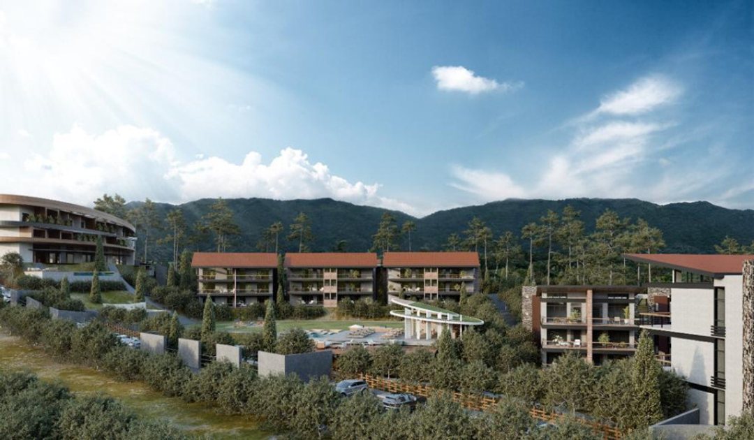 Proyecto en BUENA VISTA