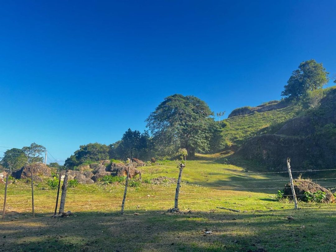 Terreno en Sabana de la Mar, Caño Hondo