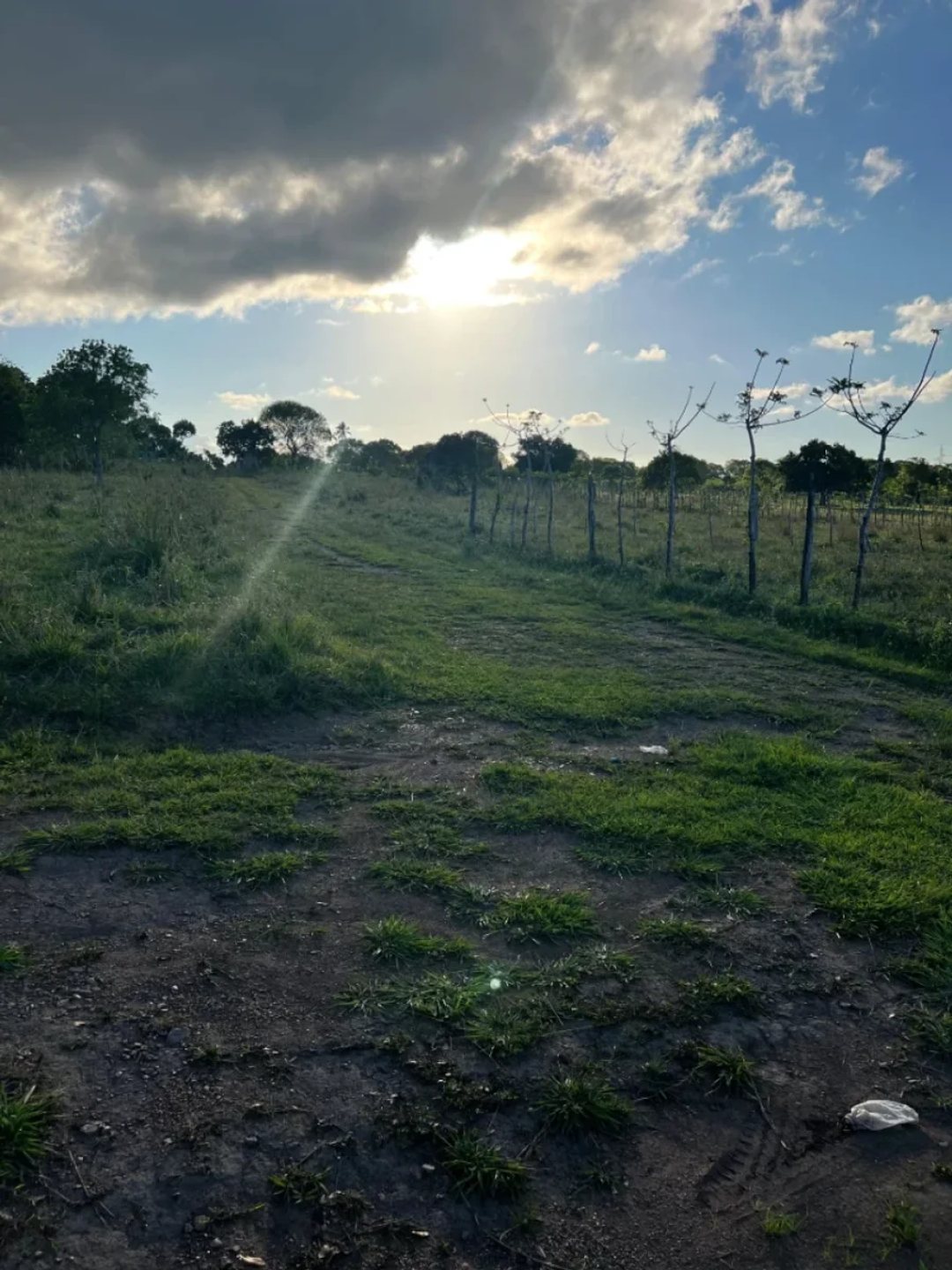 Terreno en Venta en Higüey, Los Palitos