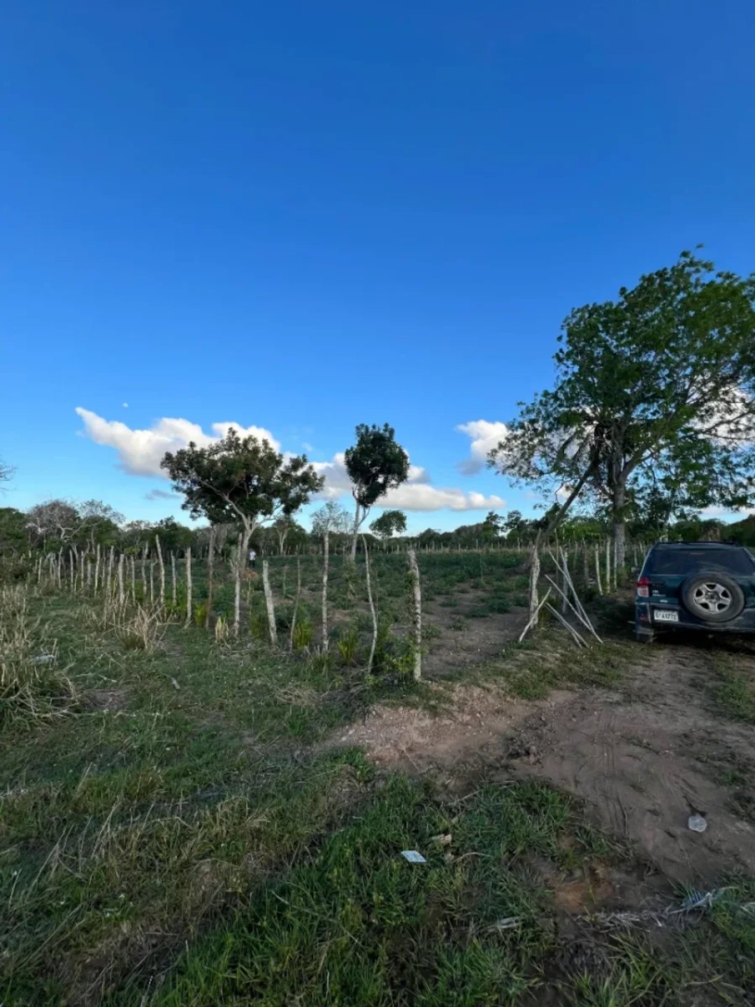 Terreno en Venta en Higüey, Los Palitos