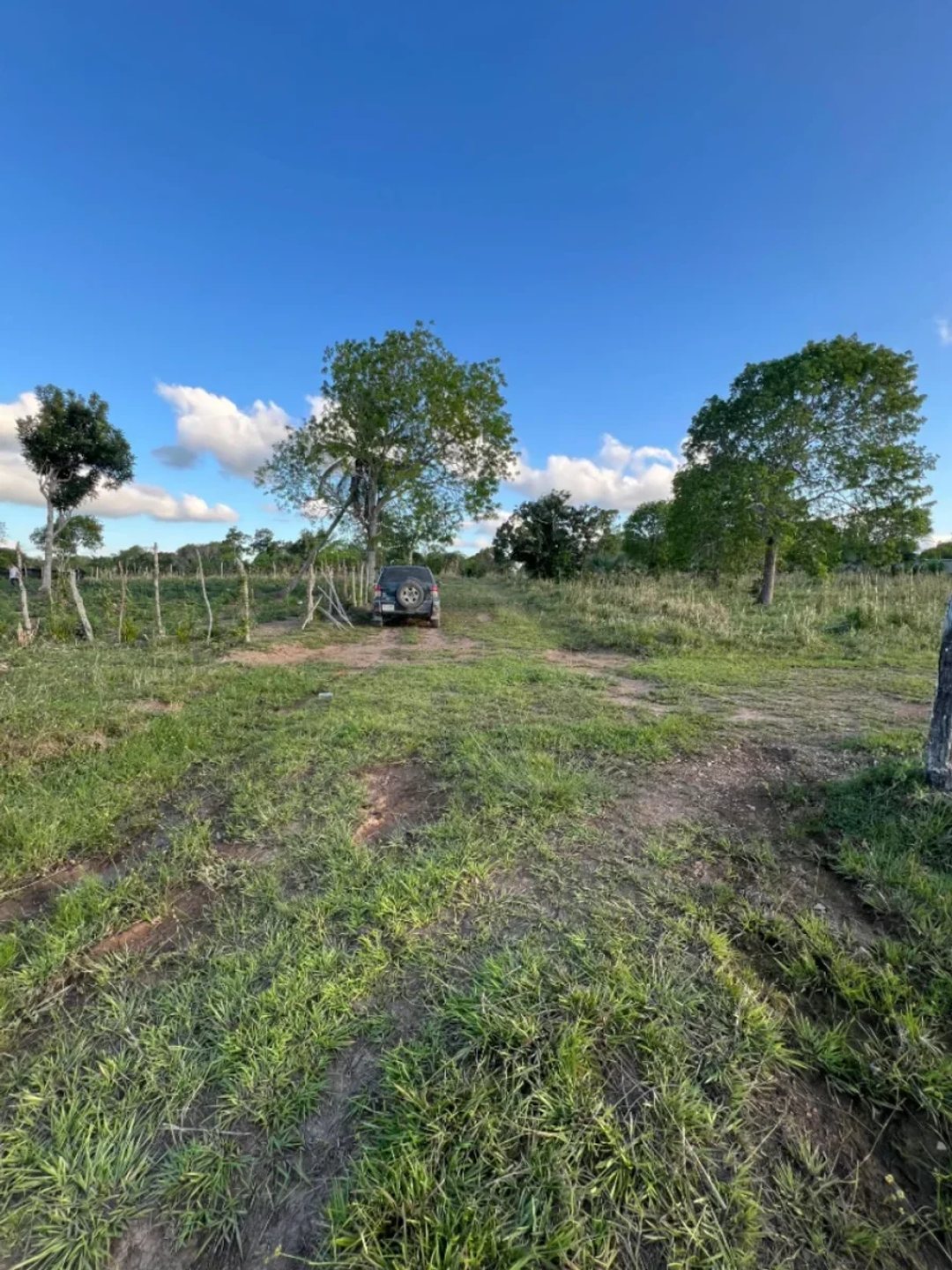 Terreno en Venta en Higüey, Los Palitos