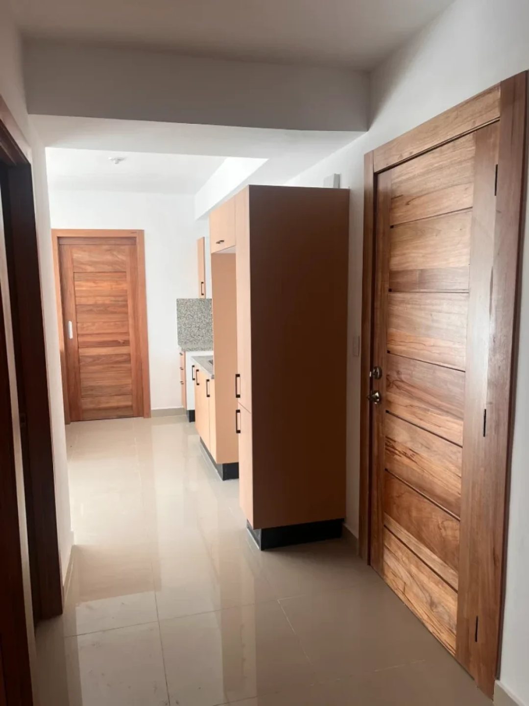Apartamento en Arroyo Hondo, Santo Domingo
