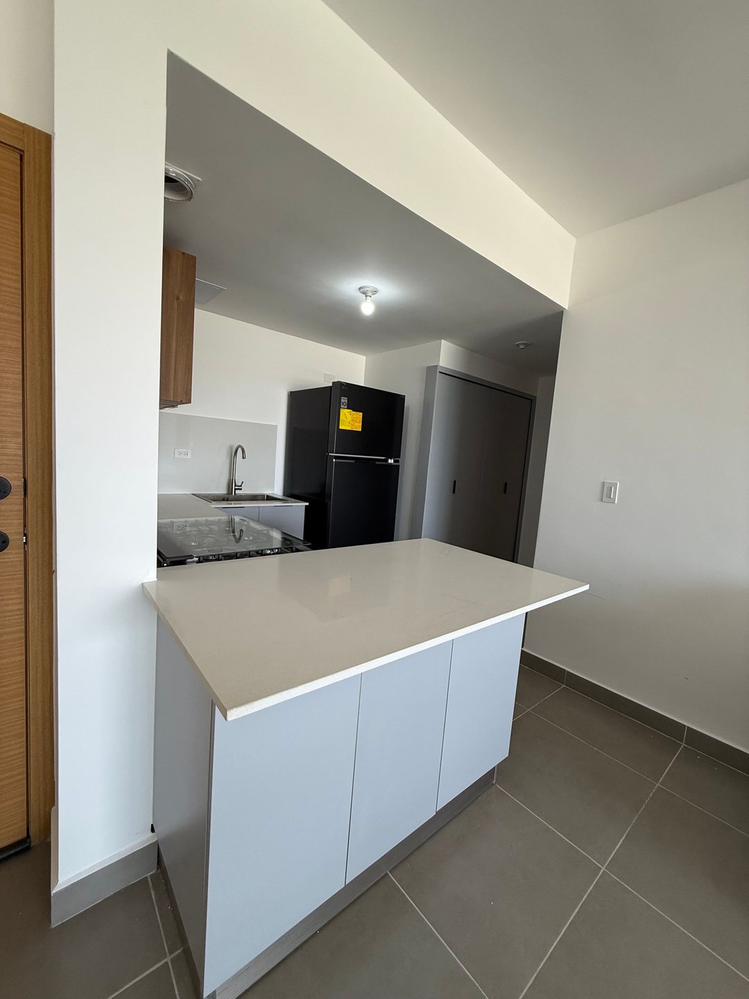 Apartamento Amueblado en Alquiler en Gazcue