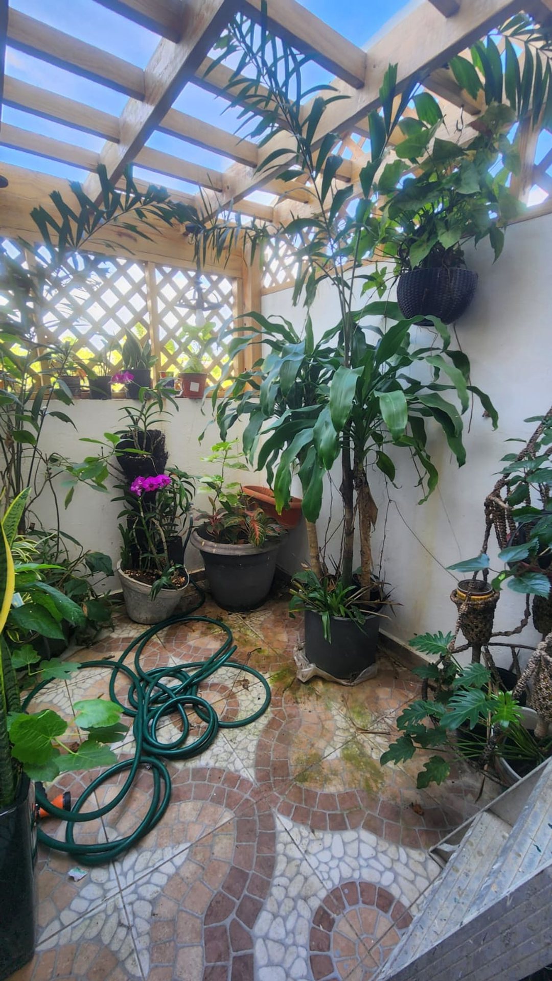 APARTAMENTO EN ALQUILER 1 DORMITORIO BOCA CHICA