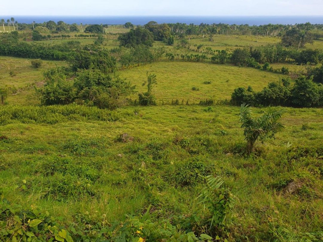 Terreno en Loma de Cabrera, Los Candelones