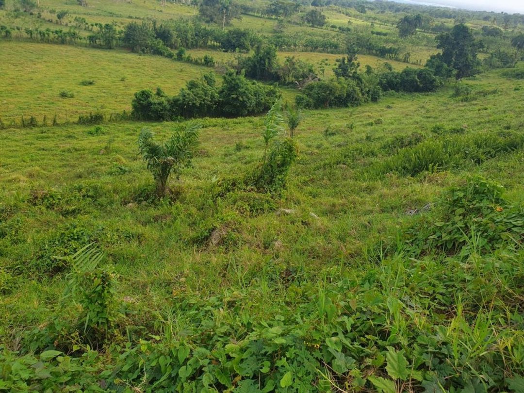 Terreno en Loma de Cabrera, Los Candelones