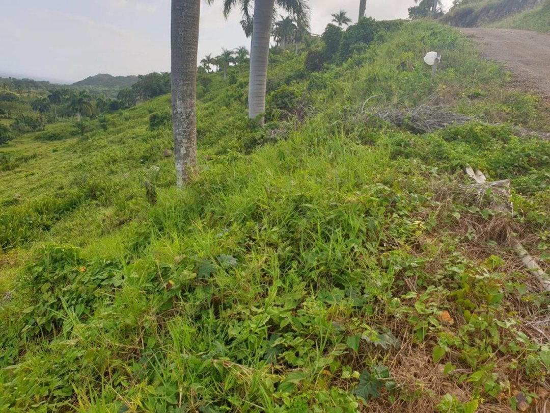Terreno en Loma de Cabrera, Los Candelones