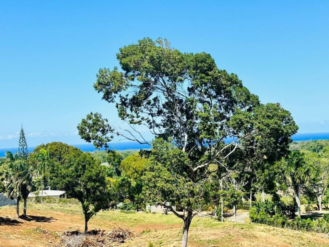 Terreno en la Mulata II, Sosúa