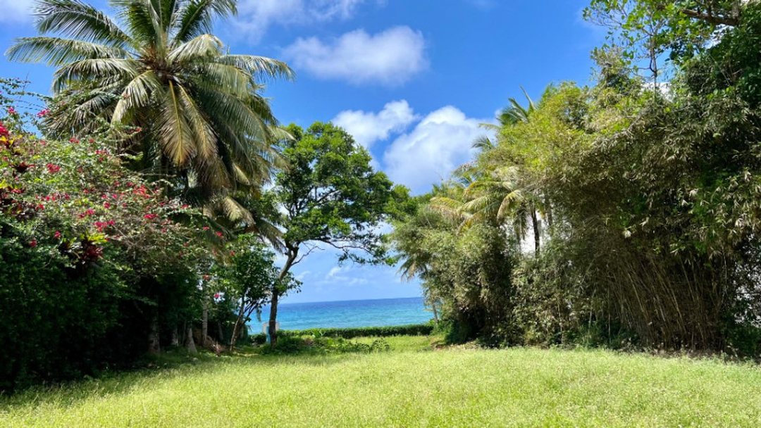 Terreno en Oceanfront land in Ocean Village