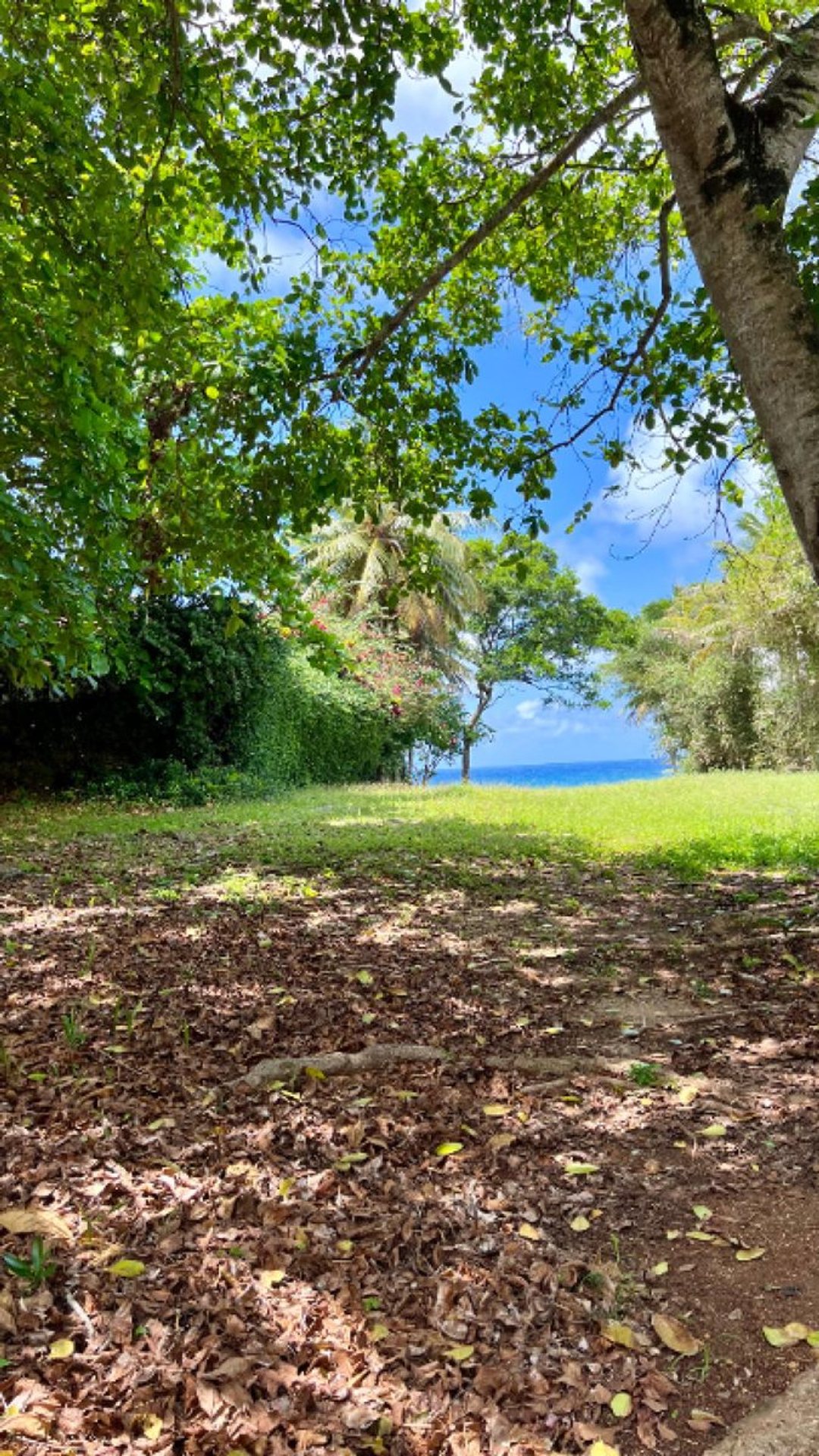 Terreno en Oceanfront land in Ocean Village