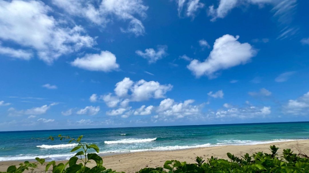 Terreno en Oceanfront land in Ocean Village