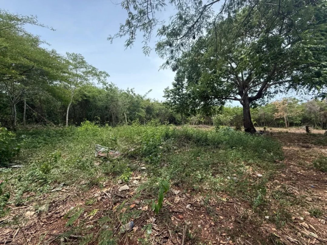 Terreno amplio en venta en Juan Dolio