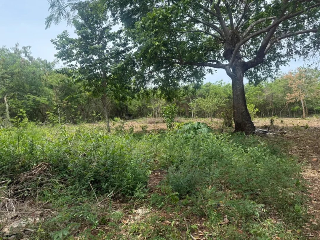 Terreno amplio en venta en Juan Dolio