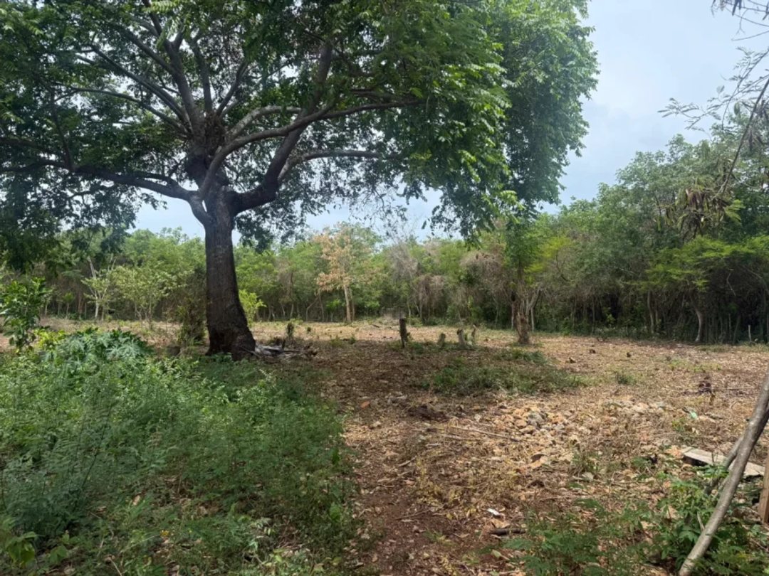 Terreno amplio en venta en Juan Dolio