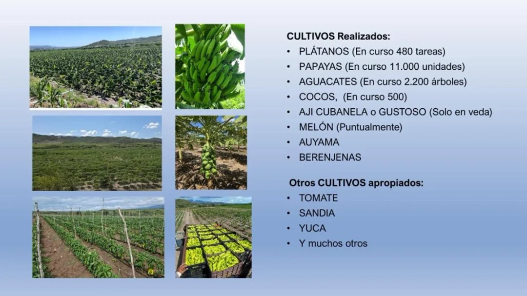 Terreno en Venta en Azua, Centro