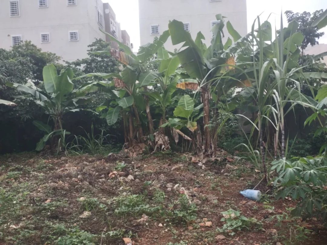 Terreno en Venta en Regina, Santo Domingo Este