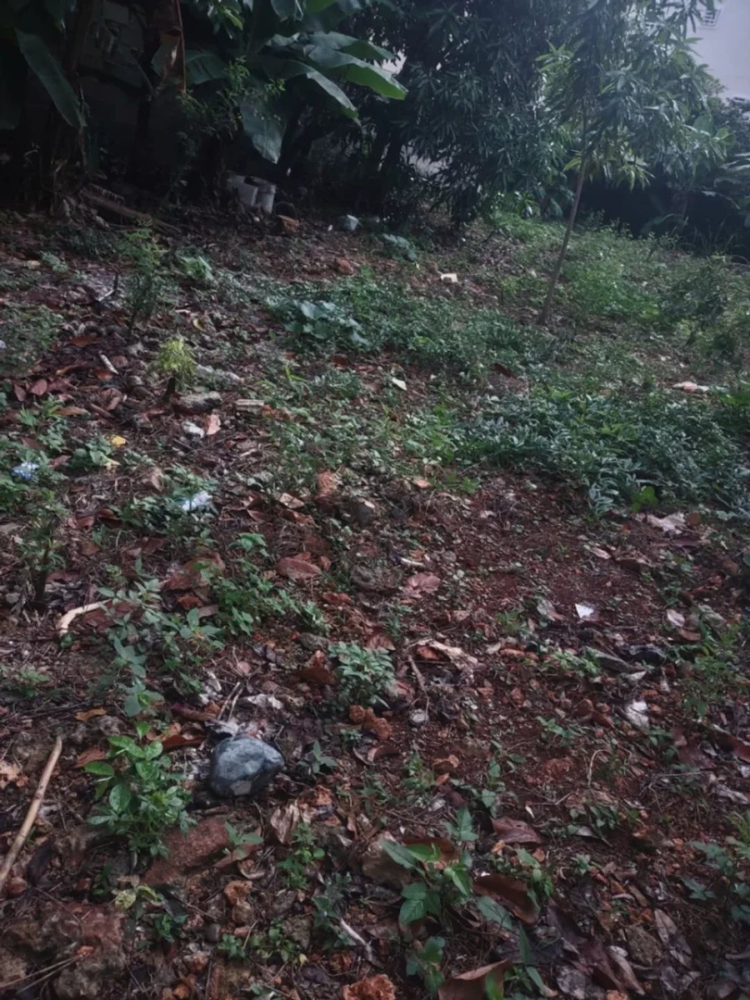 Terreno en Venta en Regina, Santo Domingo Este