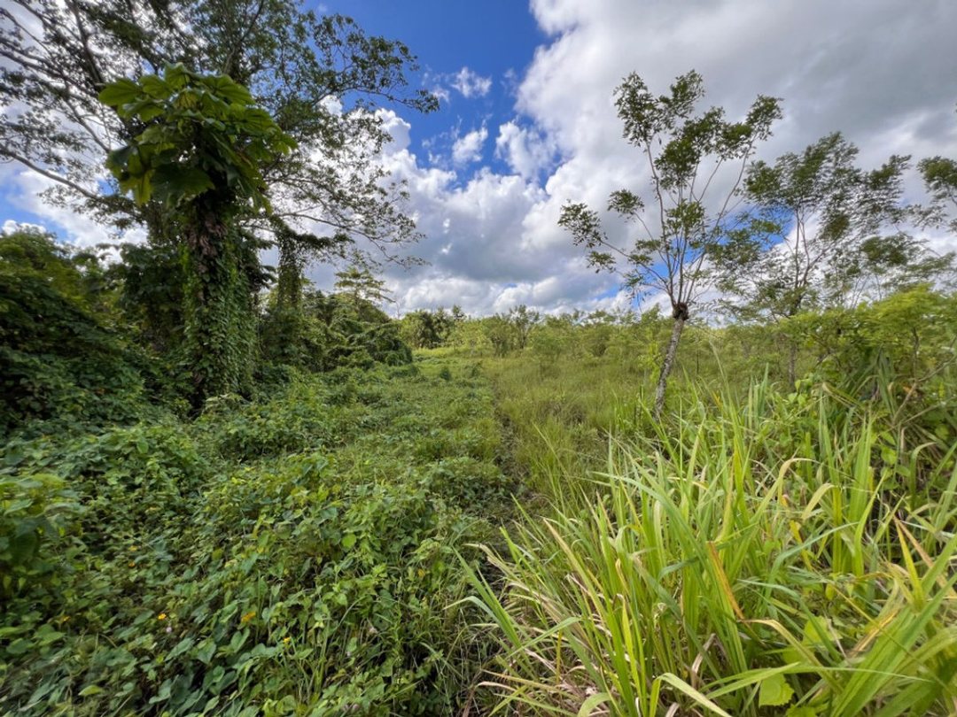 Finca En Dajao, Bayaguana