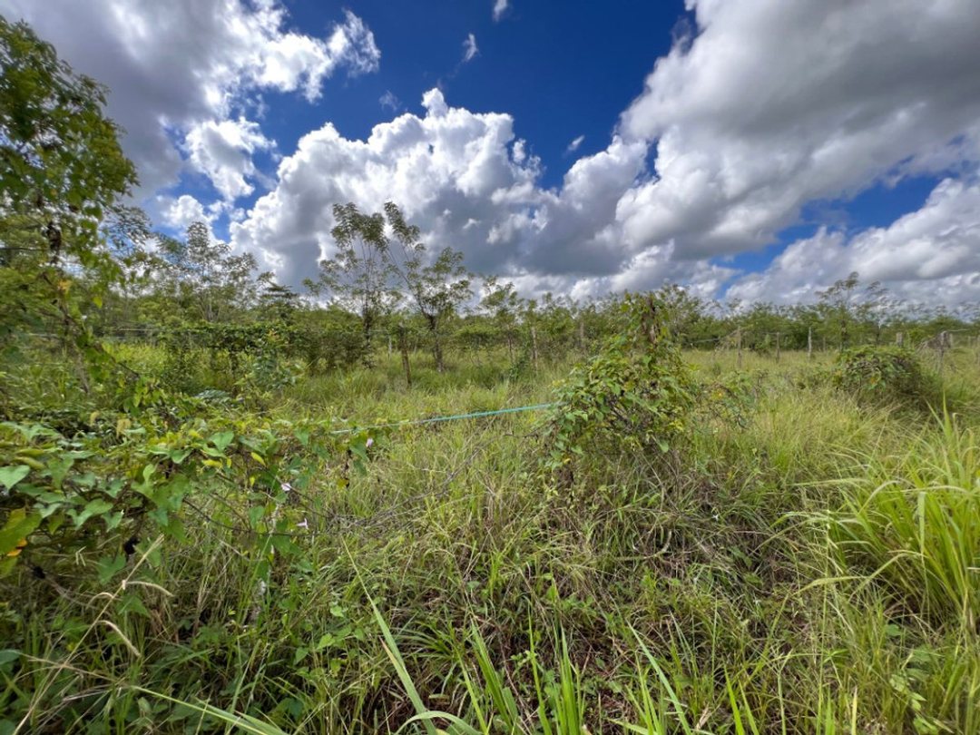 Finca En Dajao, Bayaguana