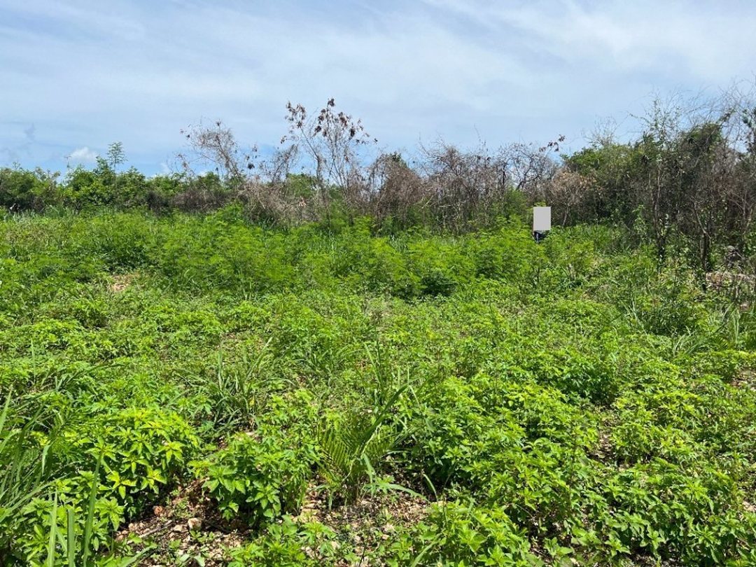 Terreno En Comatillo, Bayaguana