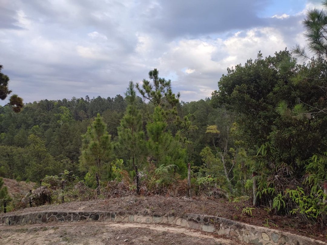 EN VENTA EN CONSTANZA