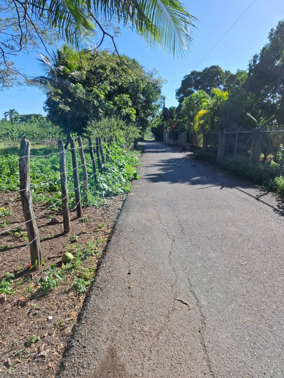 Terreno en Venta en Jacagua, Santiago