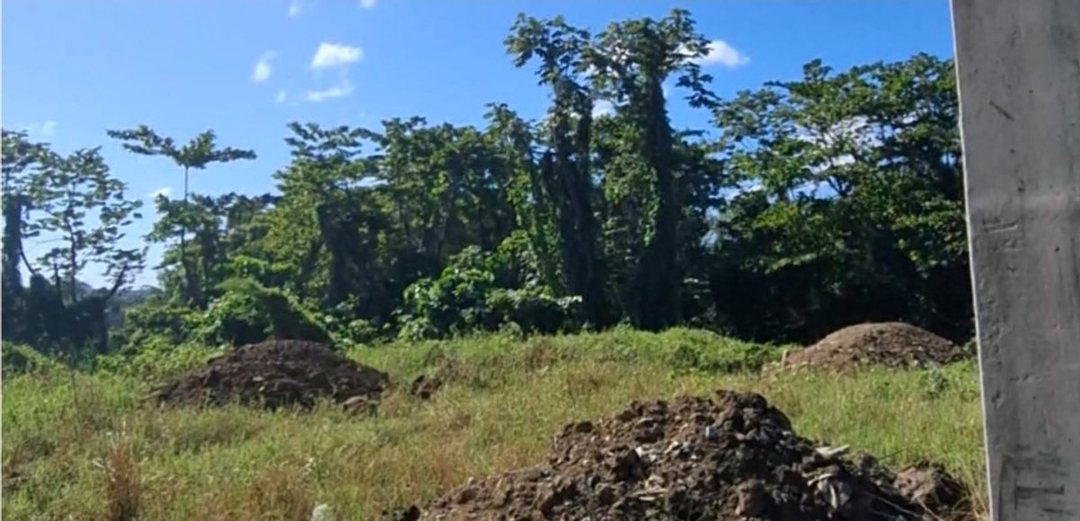 Venta de terreno en Hato Nuevo