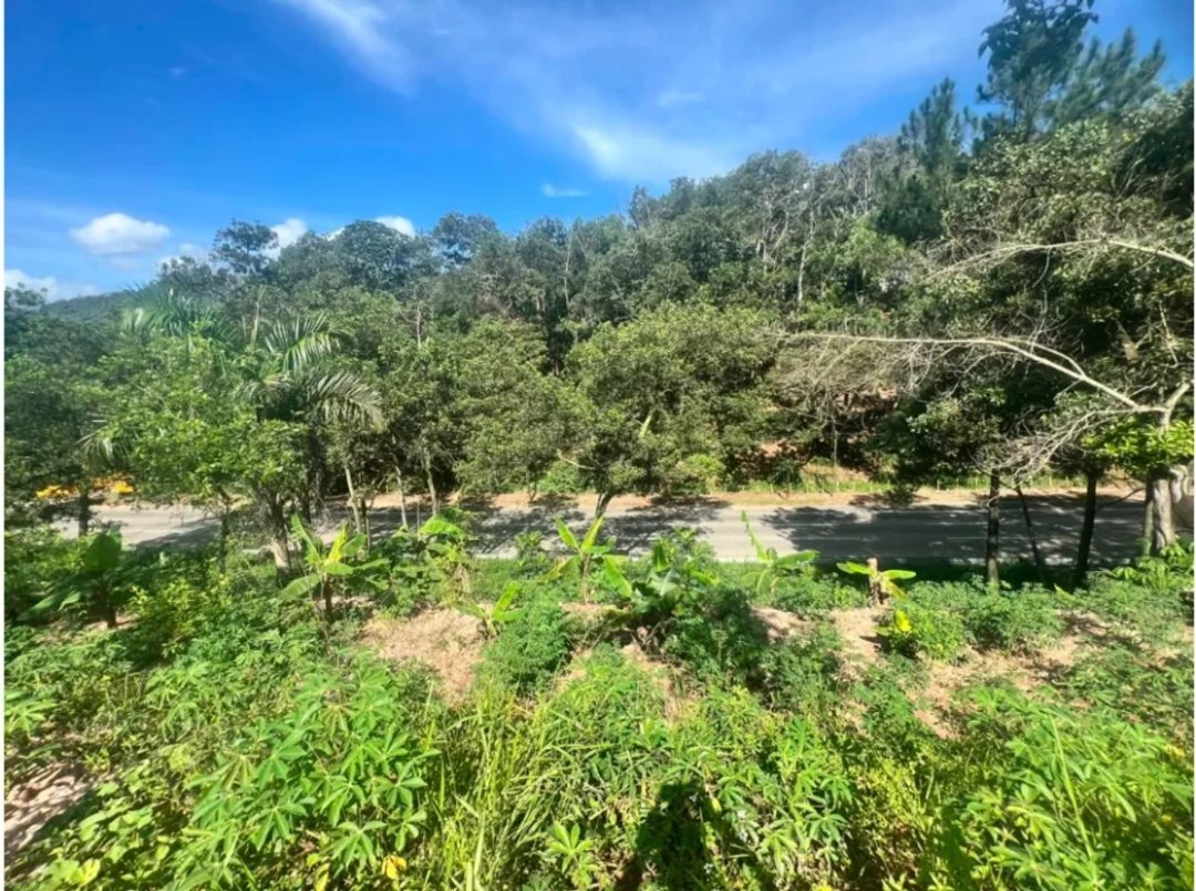 Terreno en Venta en Pueblo Nuevo, Piedra Blanca