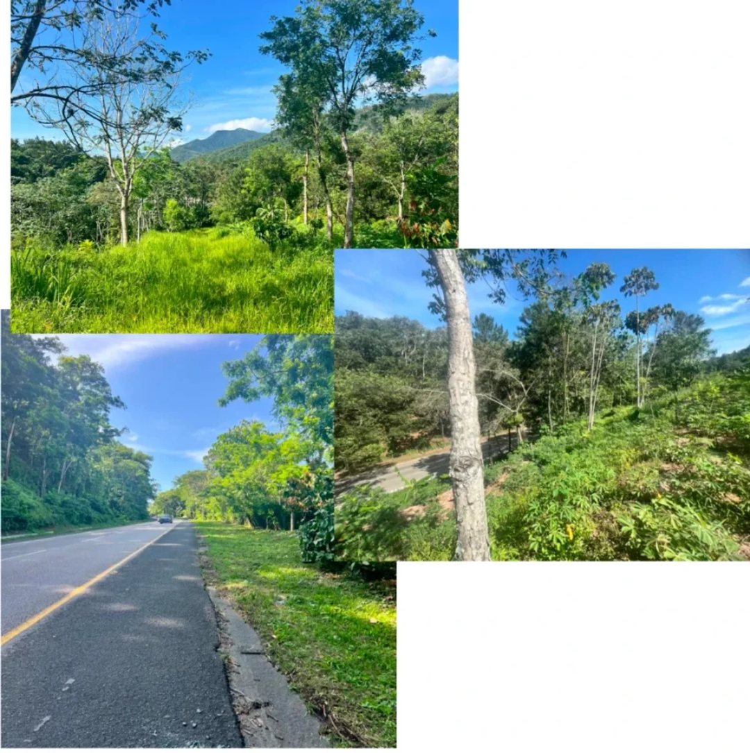 Terreno en Venta en Pueblo Nuevo, Piedra Blanca
